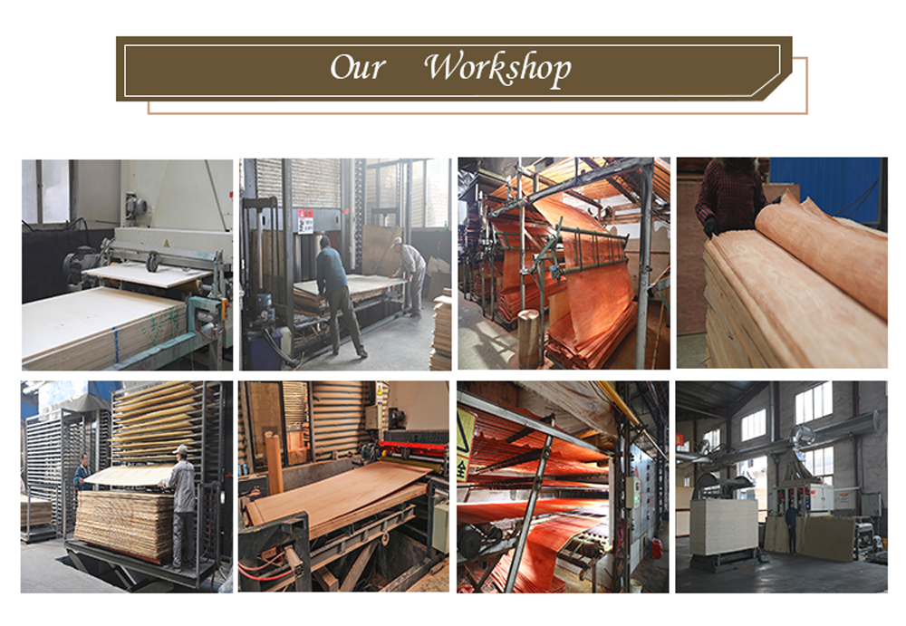 Birch Veneer(图4) Birch Veneer(图4)