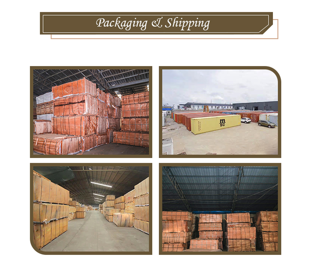 Birch Veneer(图3) Birch Veneer(图3)