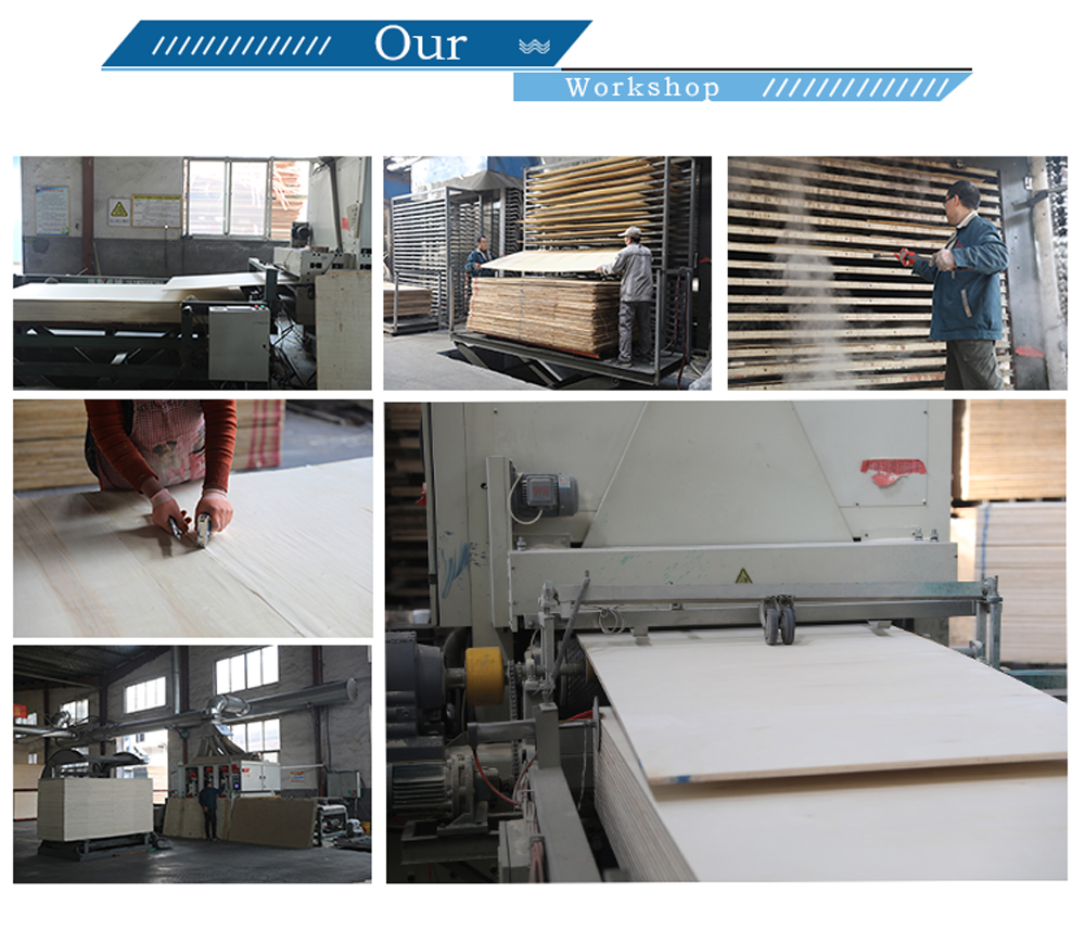 Bintangor plywood(图4) Bintangor plywood(图4)