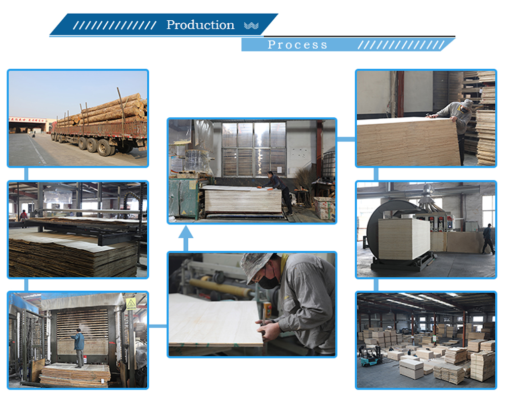 Bintangor plywood(图5) Bintangor plywood(图5)