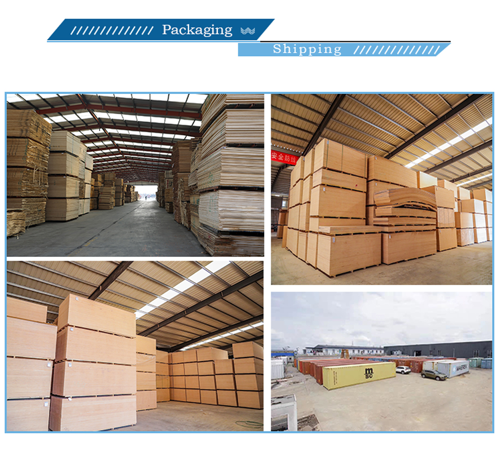 Bintangor plywood(图3) Bintangor plywood(图3)