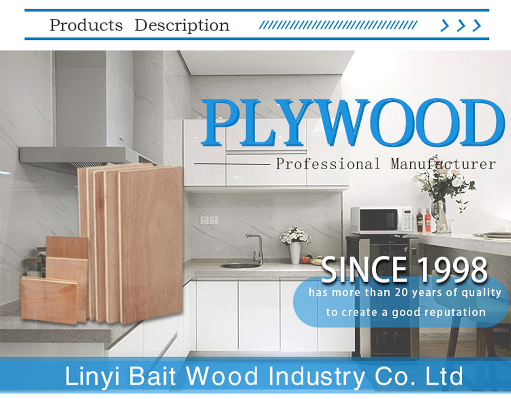 Bintangor plywood(图1) Bintangor plywood(图1)