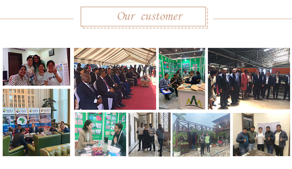 American-Cherry(图7)