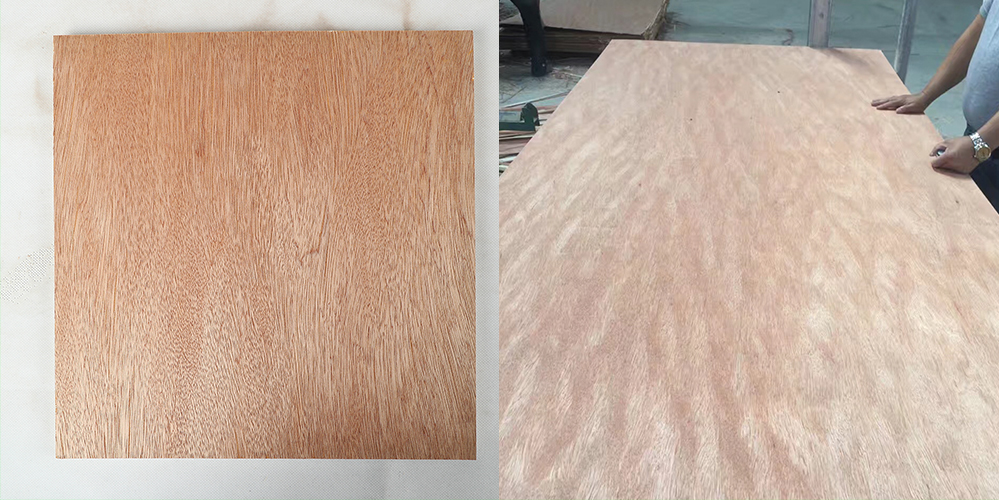 Bintangor Plywood(图3) Bintangor Plywood(图3)
