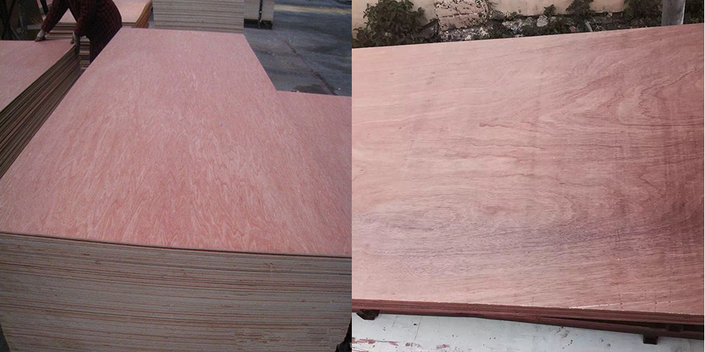 Bintangor Plywood(图3) Bintangor Plywood(图3)