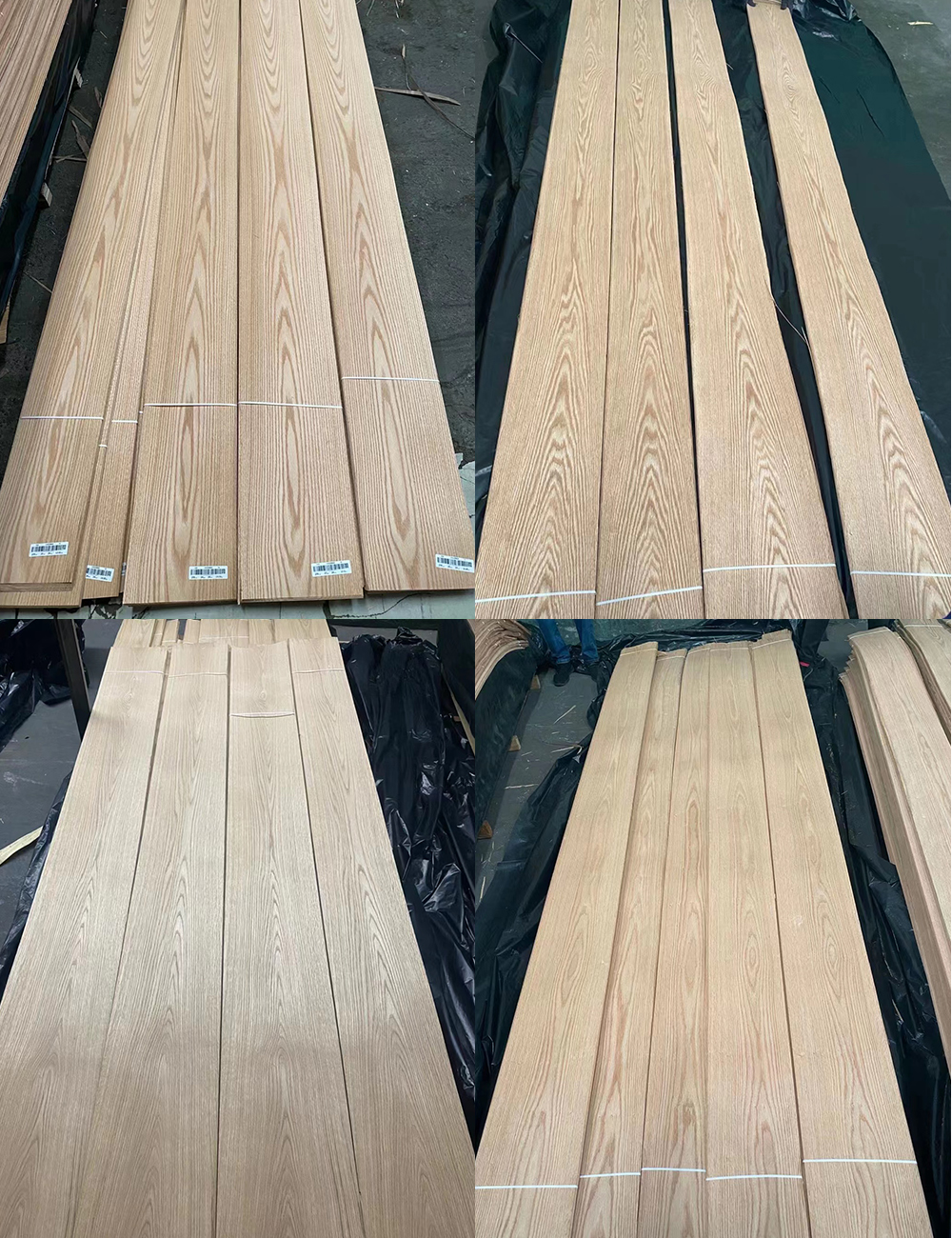 Red-Oak(图3) Red-Oak(图3)