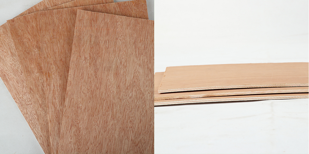 Bintangor Plywood(图3) Bintangor Plywood(图3)