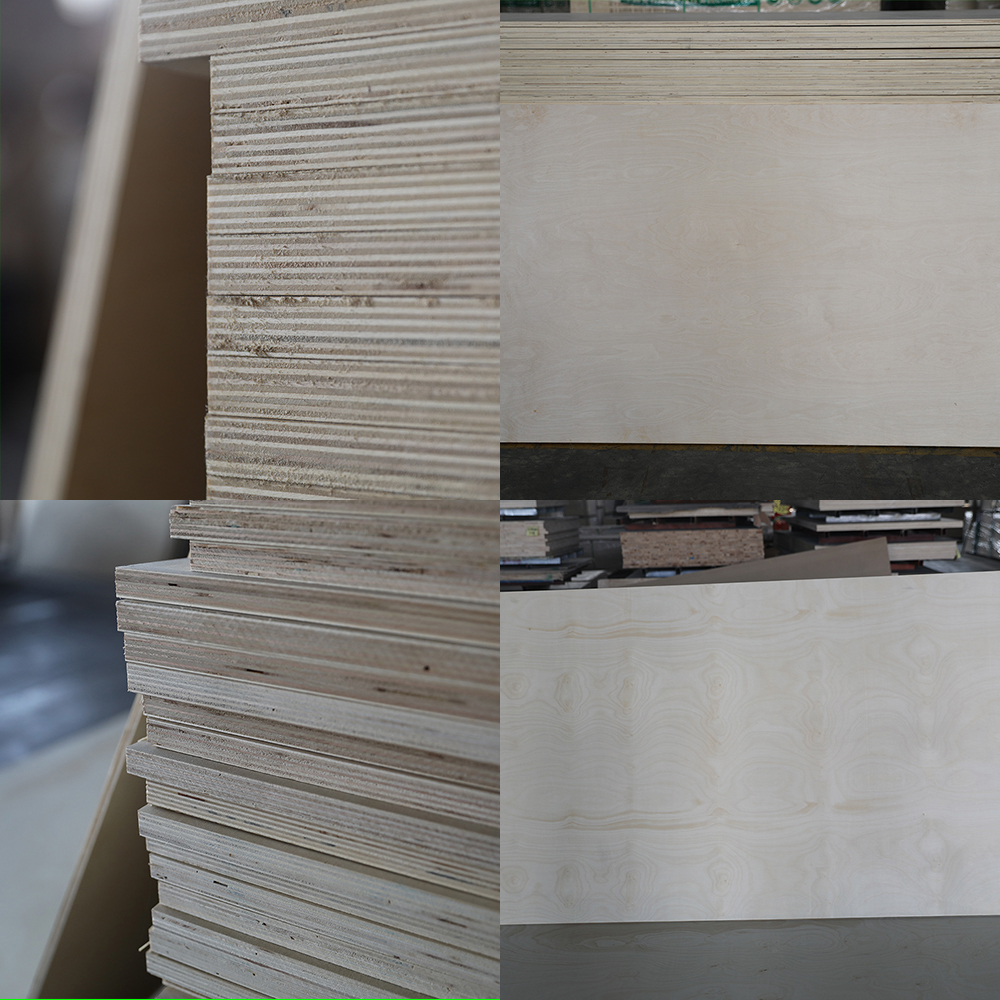 Birch Plywood(图3) Birch Plywood(图3)