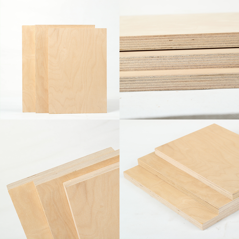 Birch plywood(图3)