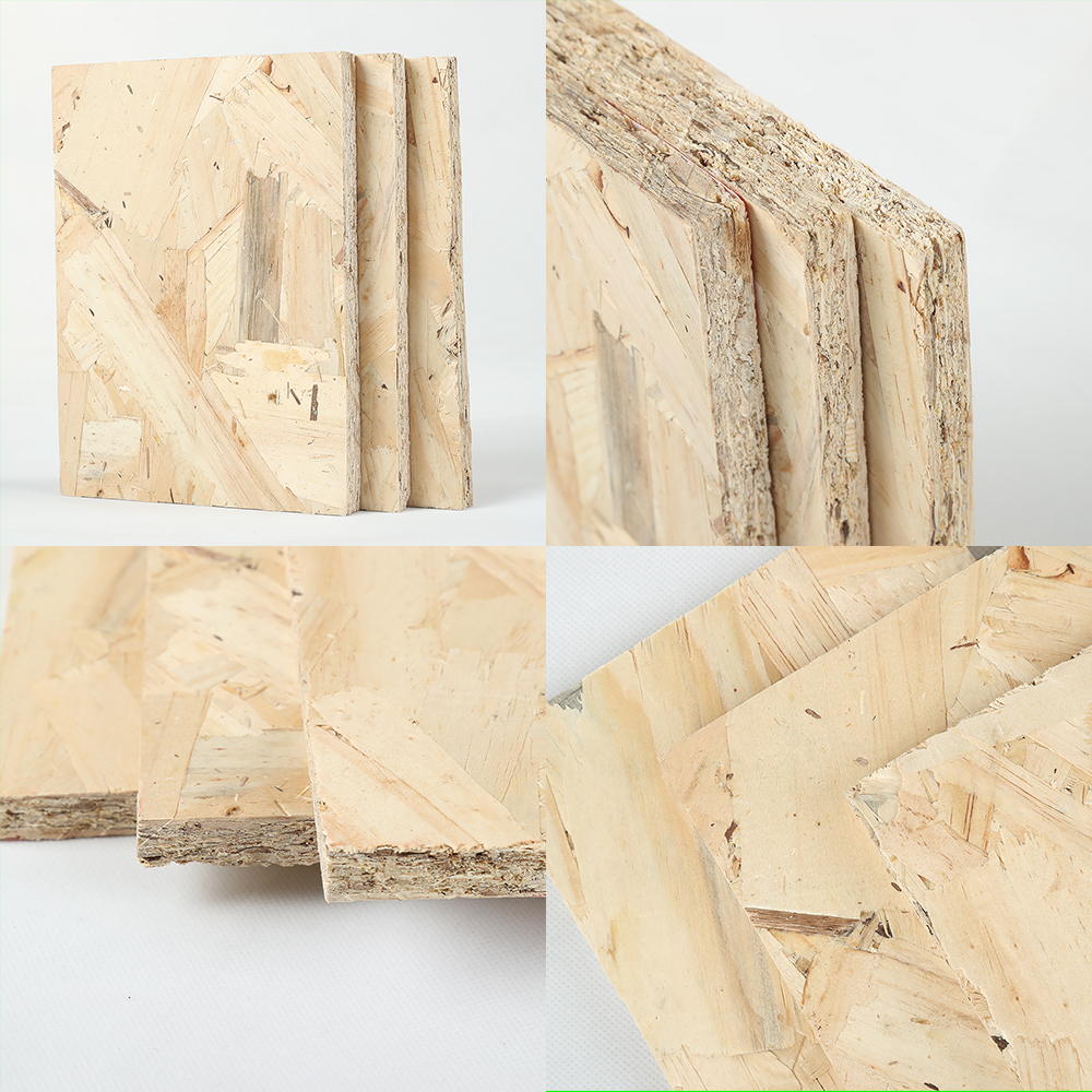 OSB(图2) OSB(图2)