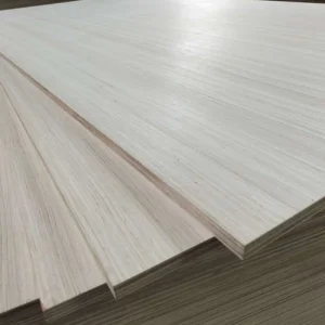 EV Plywood